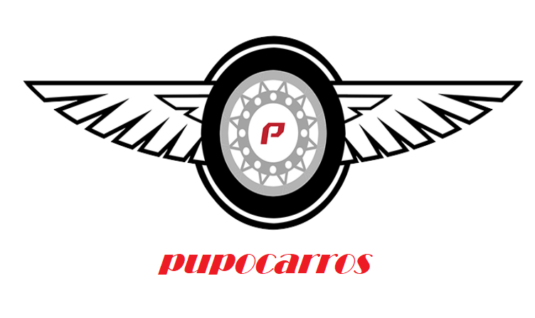 A logo of the company pupocartos